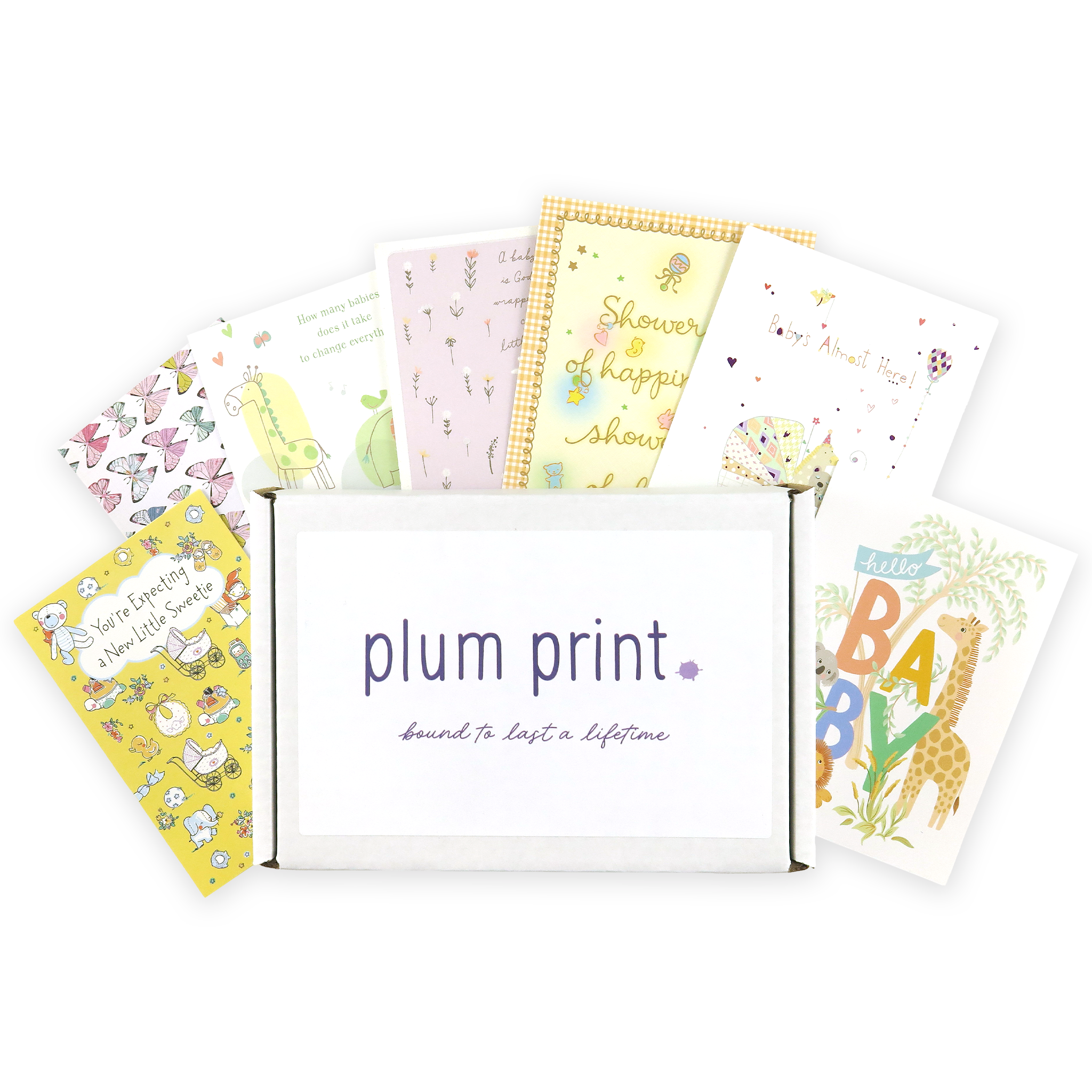 Card Book